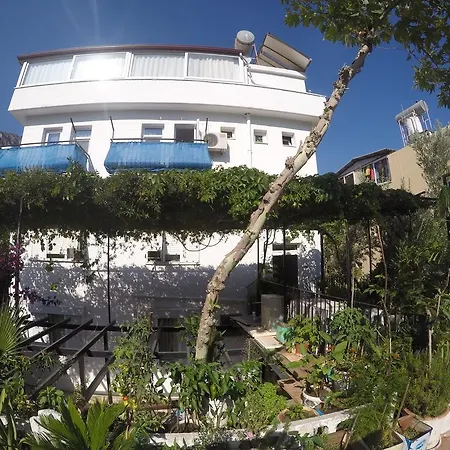 Akkin Pansiyon Guest house *